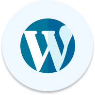 Rainet Technology Private Limited Work on Wordpress Technology